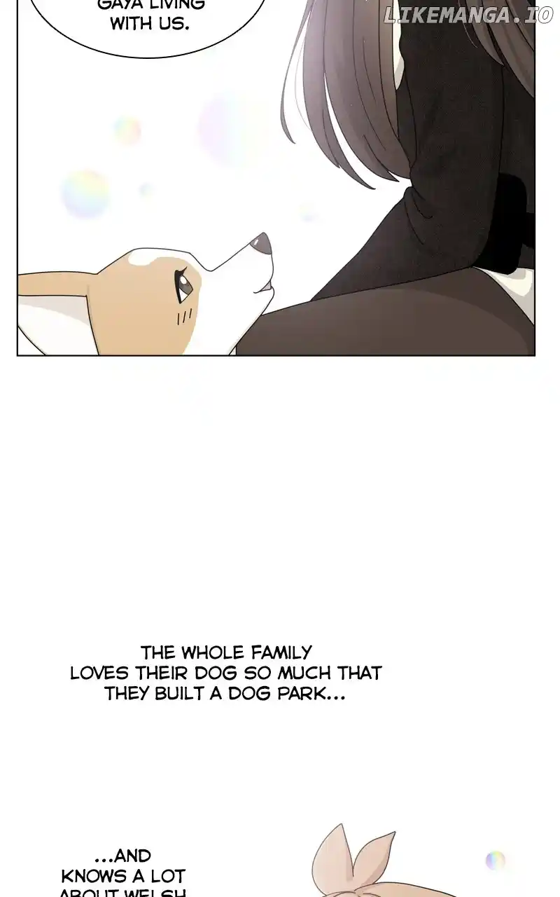I Gave Birth to a Dog Chapter 137