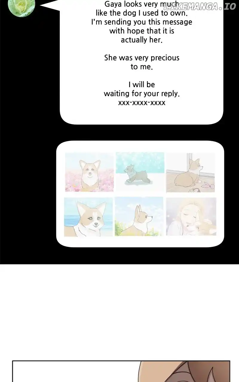 I Gave Birth to a Dog Chapter 137