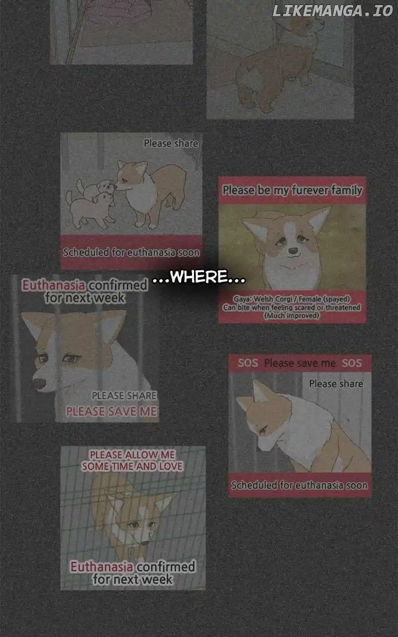 I Gave Birth to a Dog Chapter 137