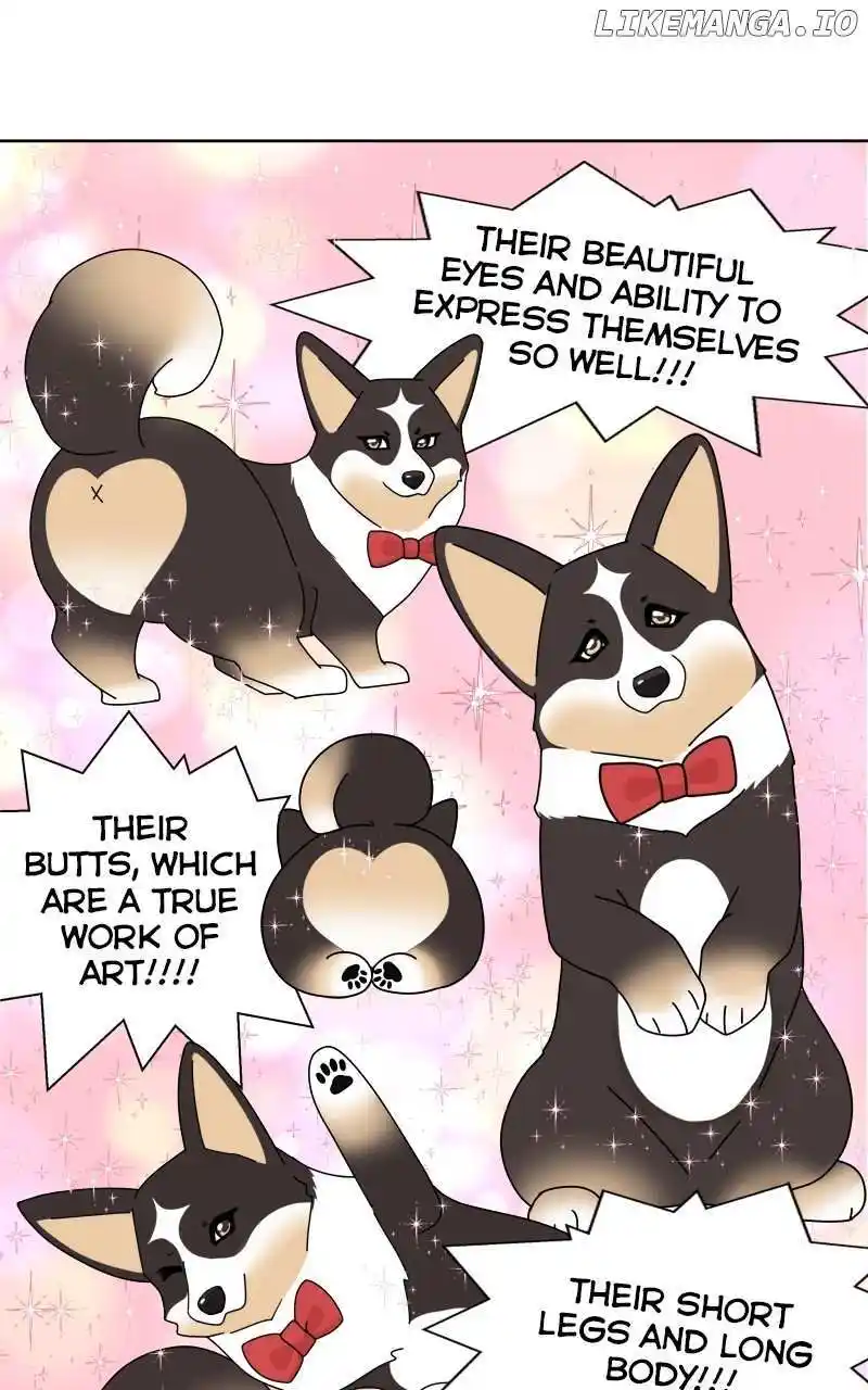 I Gave Birth to a Dog Chapter 137