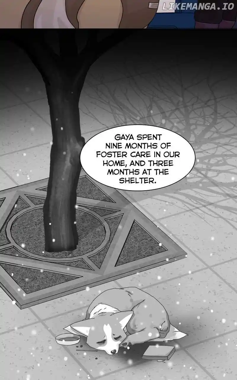 I Gave Birth to a Dog Chapter 138