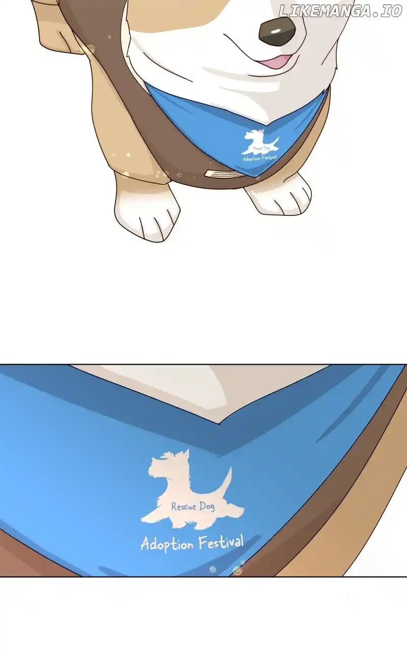 I Gave Birth to a Dog Chapter 138