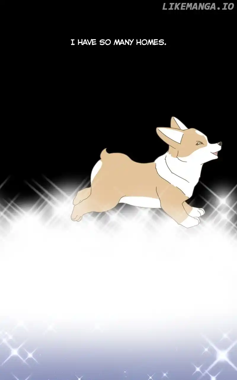 I Gave Birth to a Dog Chapter 138
