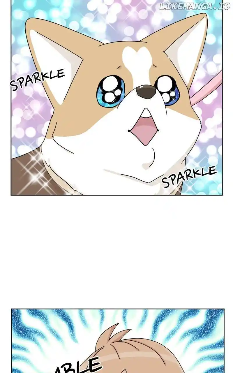 I Gave Birth to a Dog Chapter 138