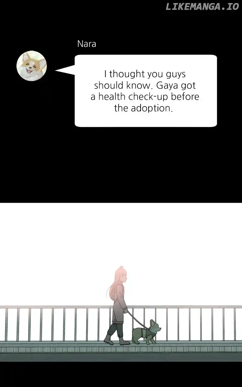 I Gave Birth to a Dog Chapter 141