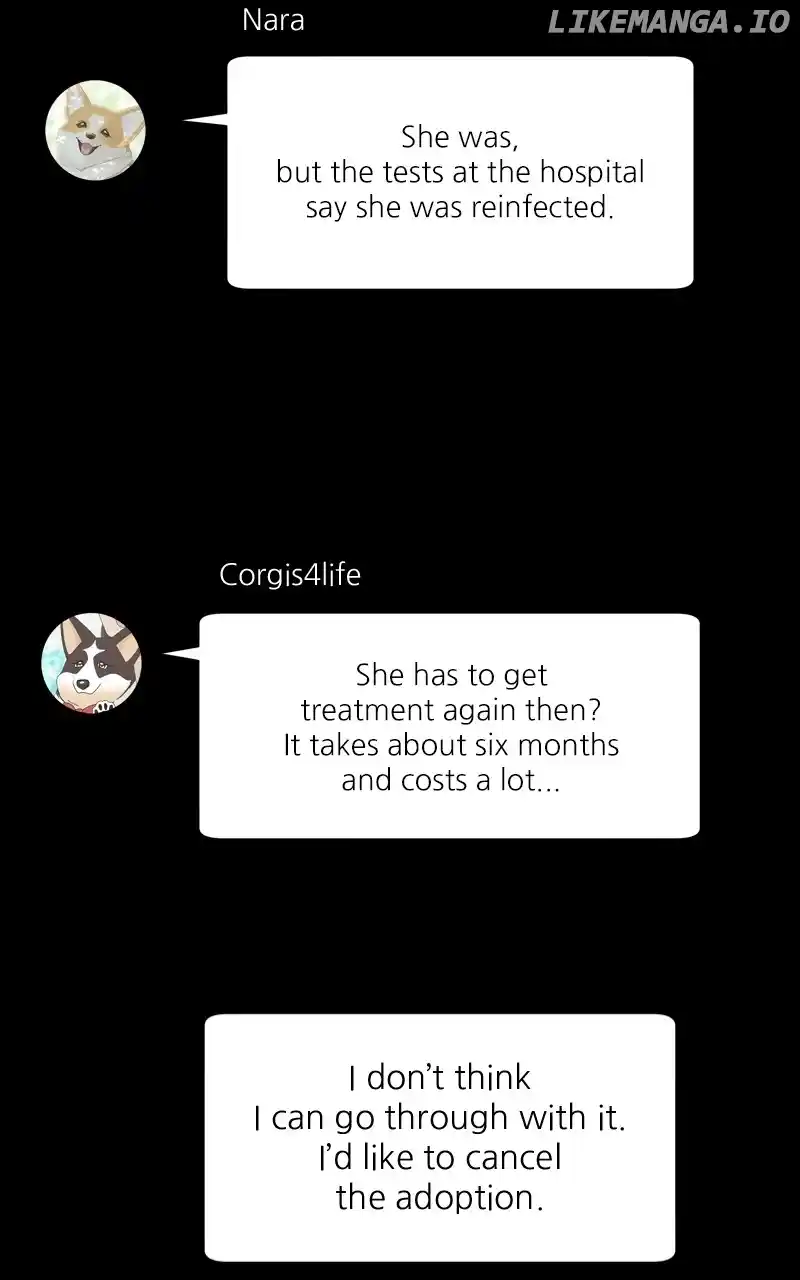 I Gave Birth to a Dog Chapter 141