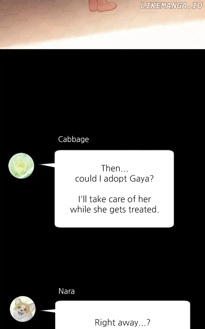 I Gave Birth to a Dog Chapter 141