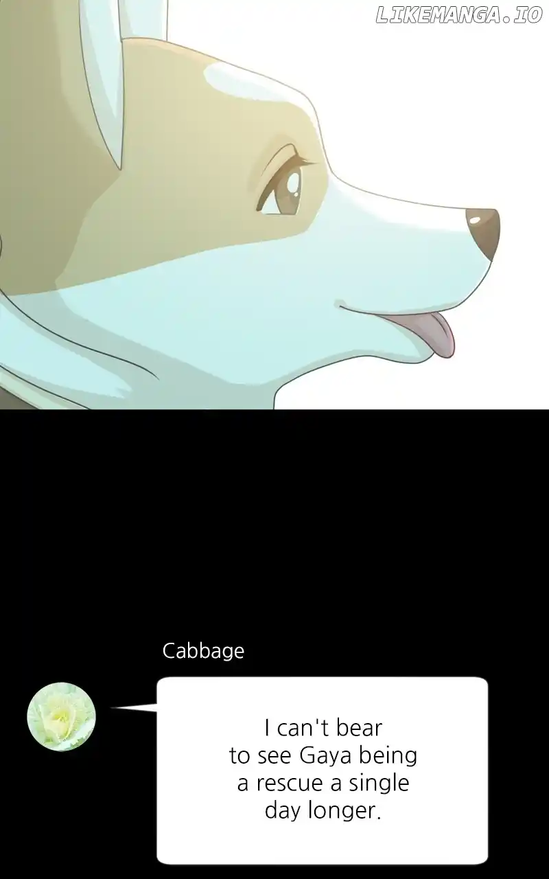 I Gave Birth to a Dog Chapter 141