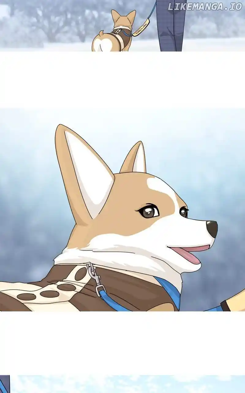 I Gave Birth to a Dog Chapter 141
