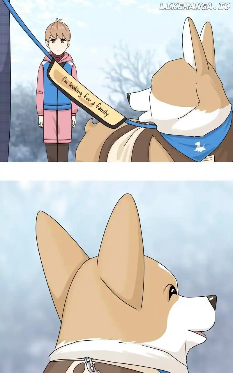 I Gave Birth to a Dog Chapter 141