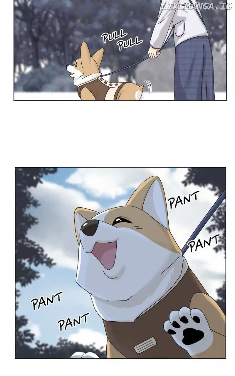 I Gave Birth to a Dog Chapter 141