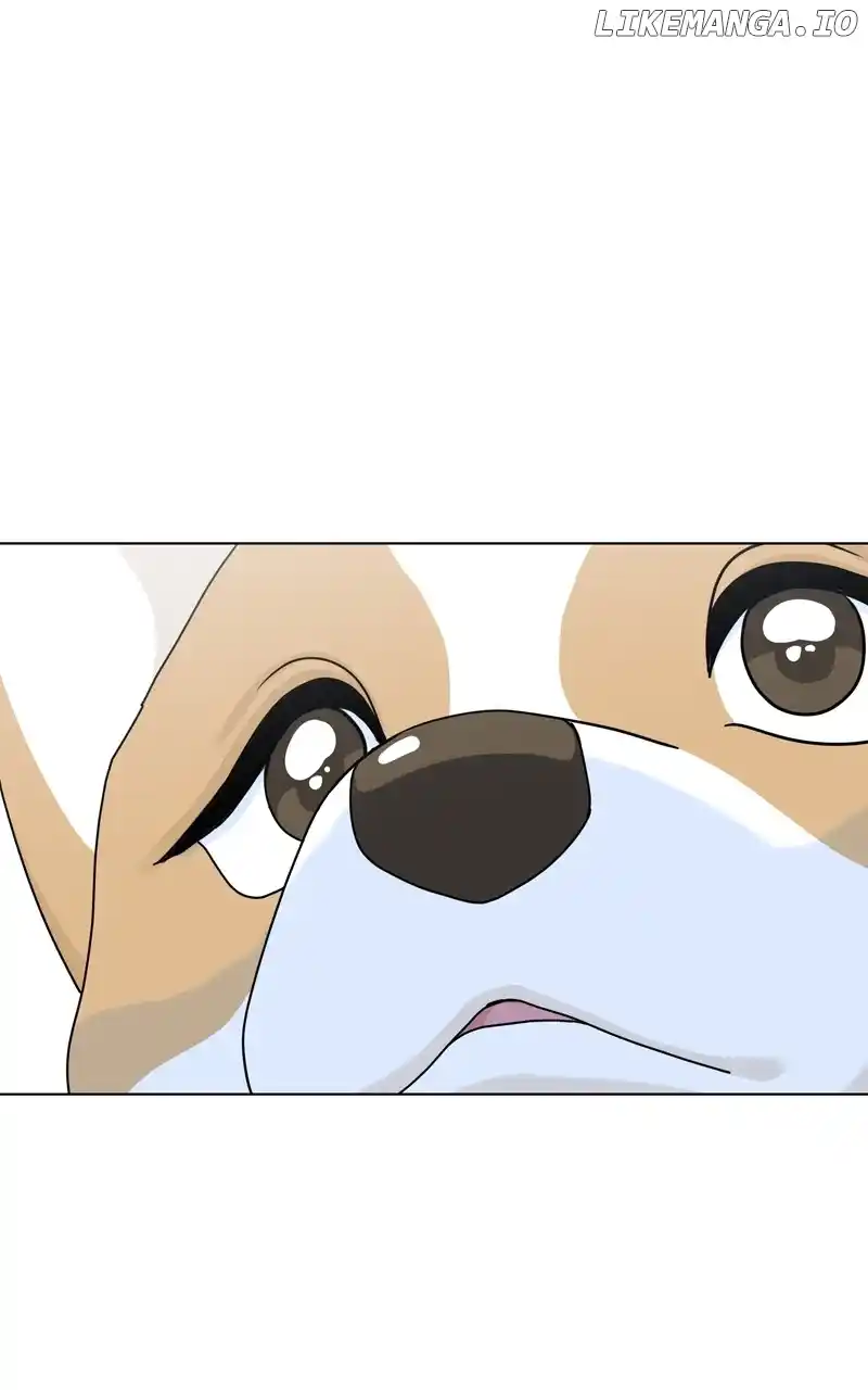 I Gave Birth to a Dog Chapter 141