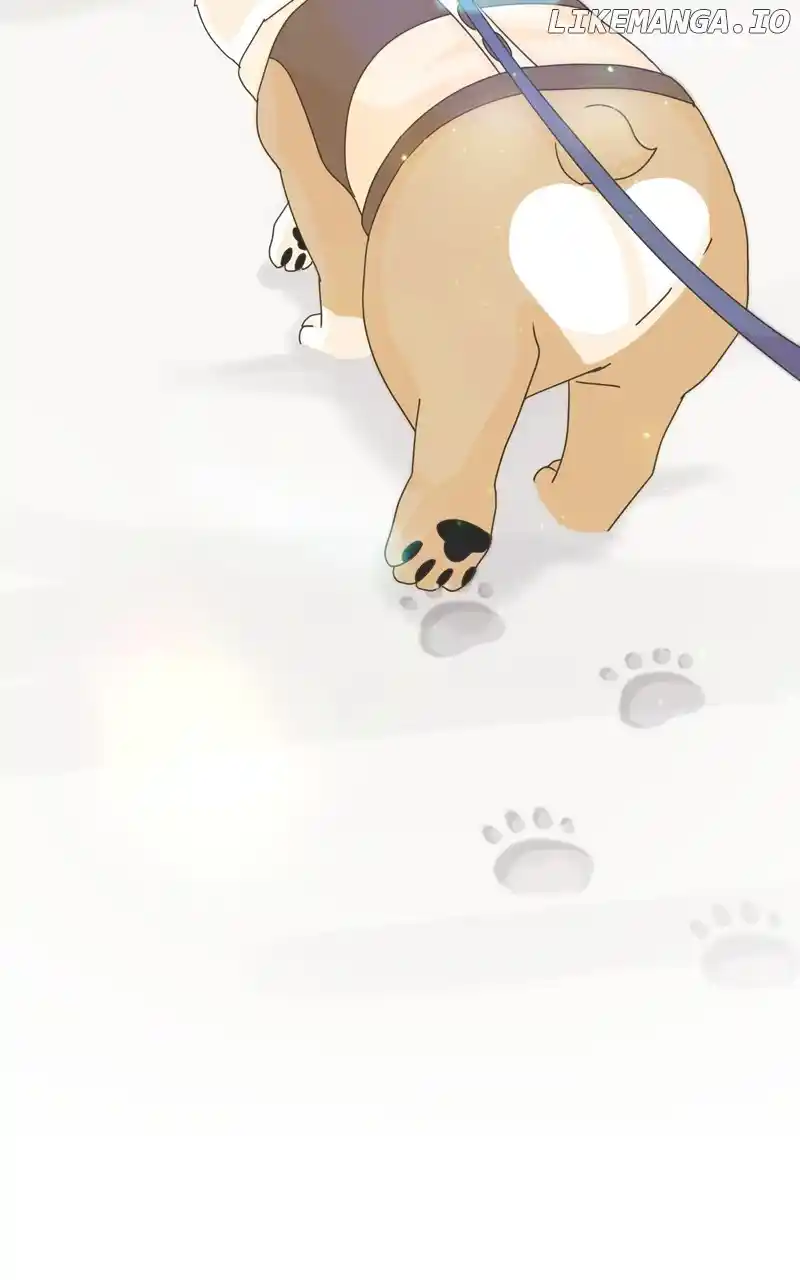 I Gave Birth to a Dog Chapter 142