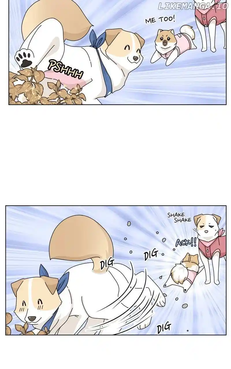 I Gave Birth to a Dog Chapter 143