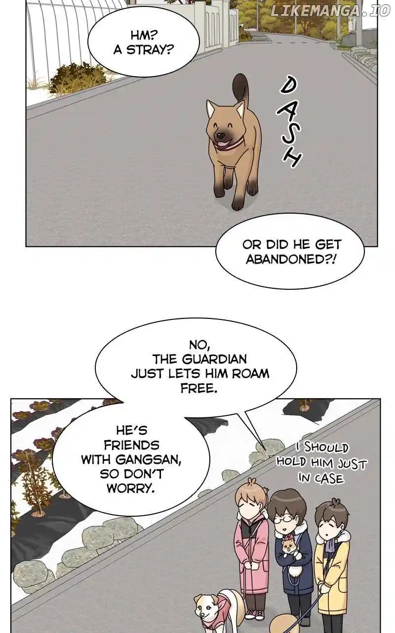 I Gave Birth to a Dog Chapter 143