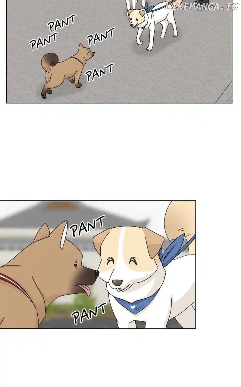 I Gave Birth to a Dog Chapter 143