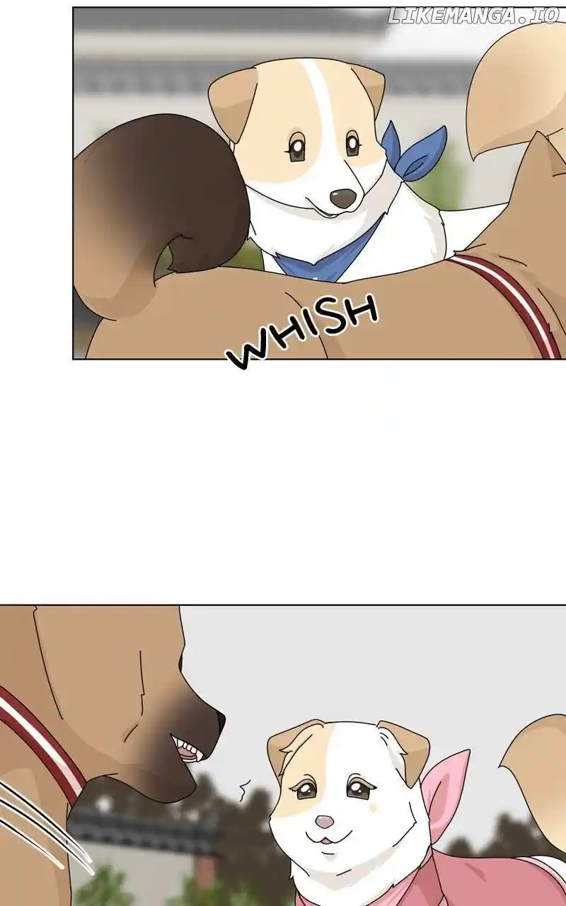 I Gave Birth to a Dog Chapter 143