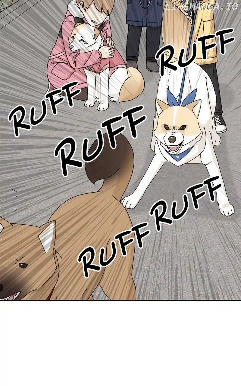 I Gave Birth to a Dog Chapter 143