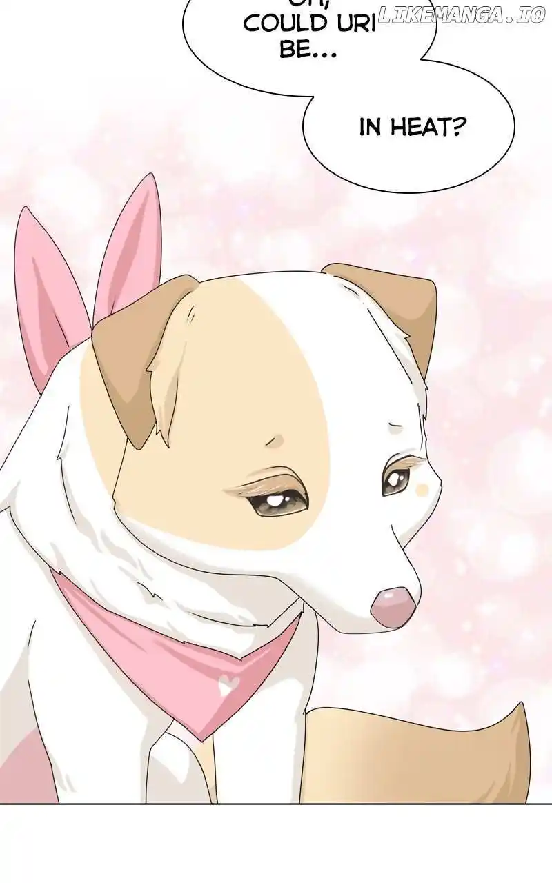 I Gave Birth to a Dog Chapter 143