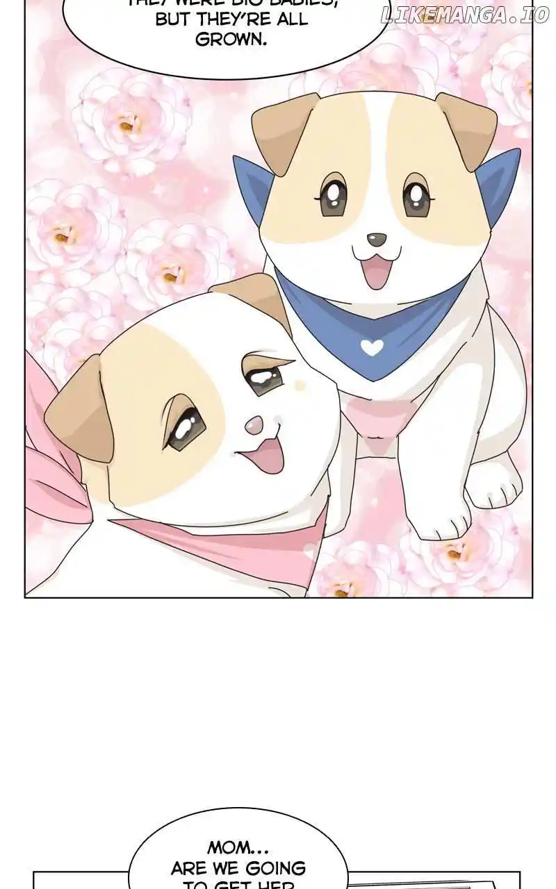 I Gave Birth to a Dog Chapter 143