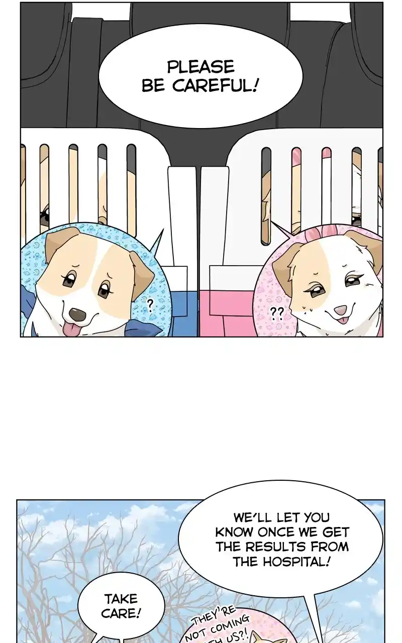 I Gave Birth to a Dog Chapter 144