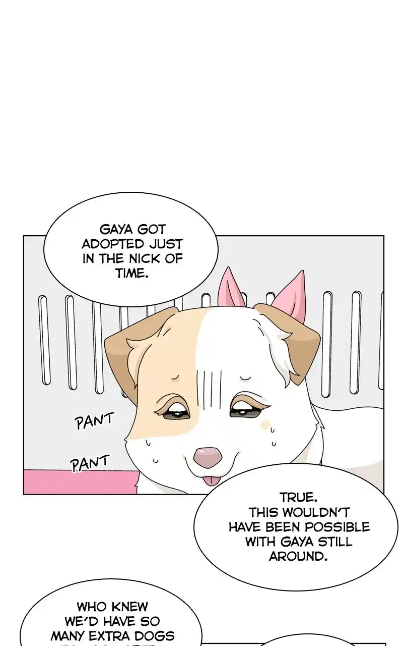 I Gave Birth to a Dog Chapter 144