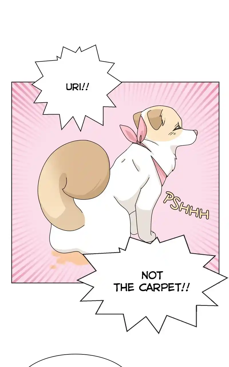 I Gave Birth to a Dog Chapter 144