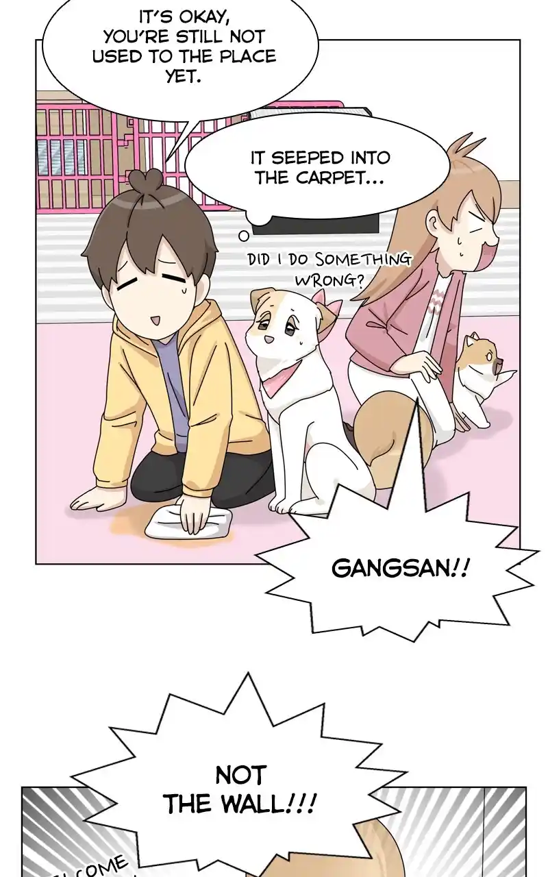 I Gave Birth to a Dog Chapter 144