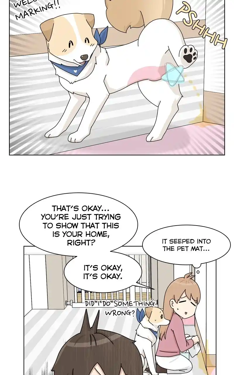 I Gave Birth to a Dog Chapter 144