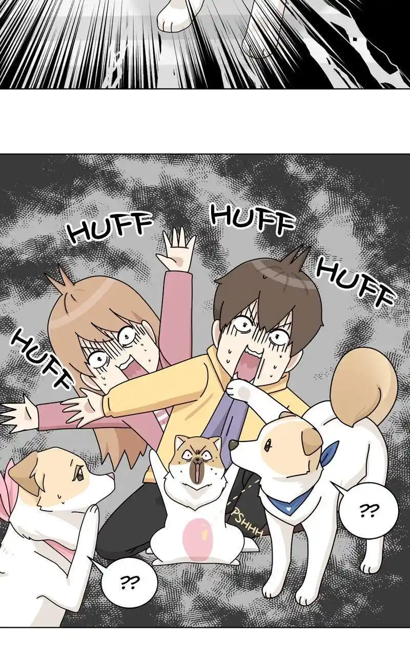 I Gave Birth to a Dog Chapter 144