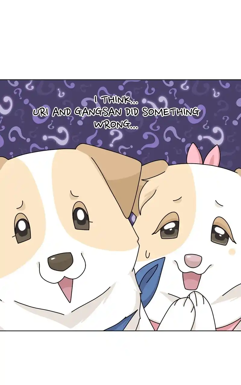 I Gave Birth to a Dog Chapter 144