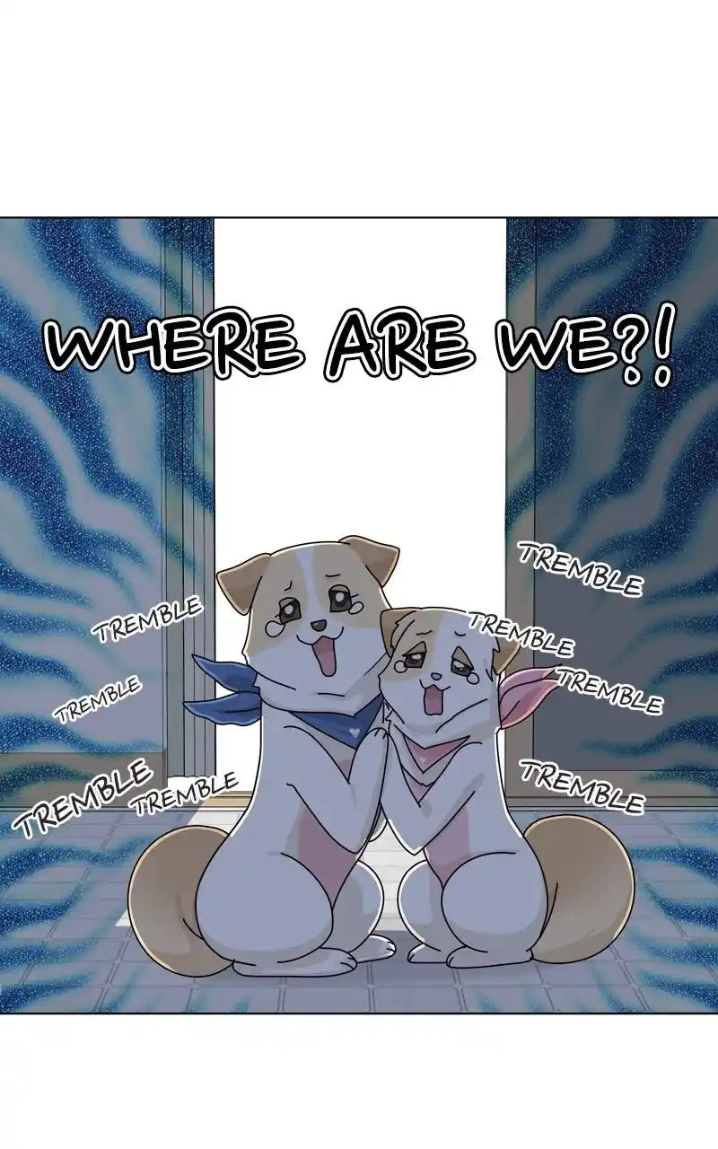 I Gave Birth to a Dog Chapter 144