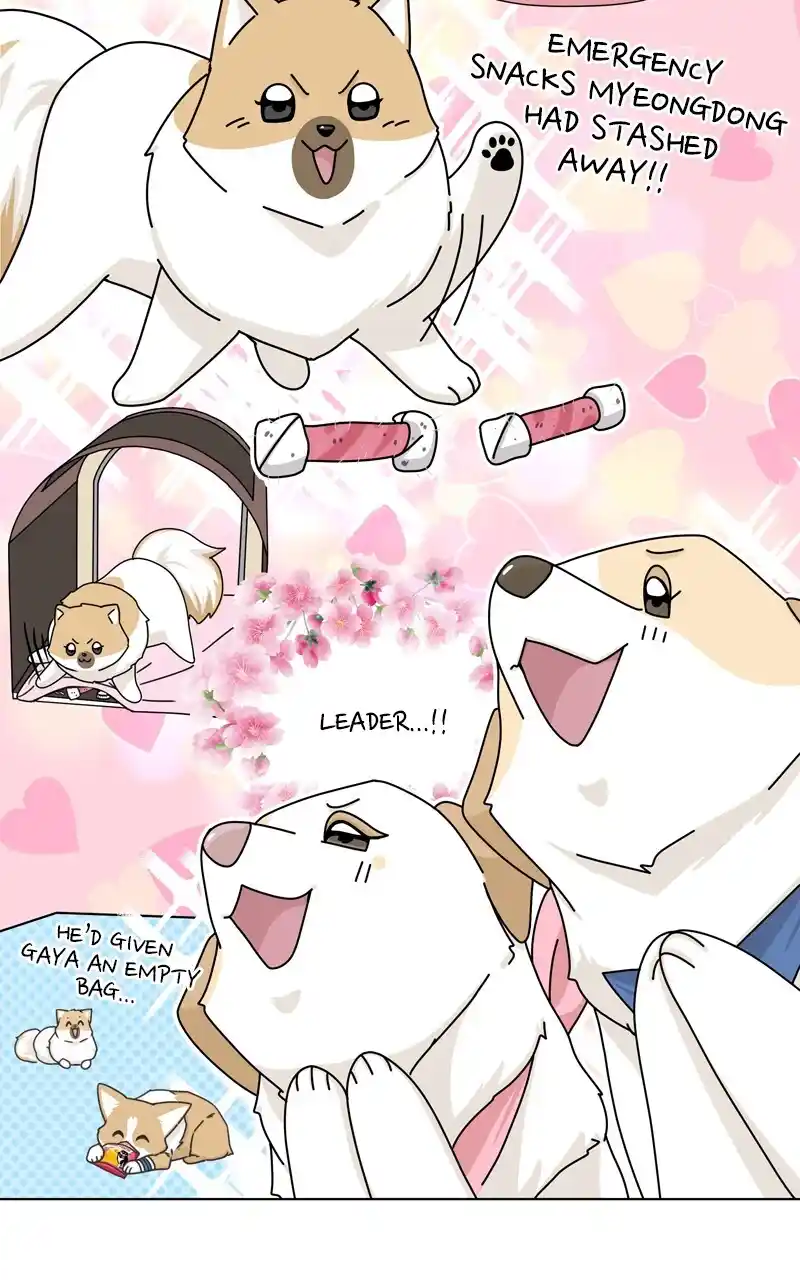 I Gave Birth to a Dog Chapter 144