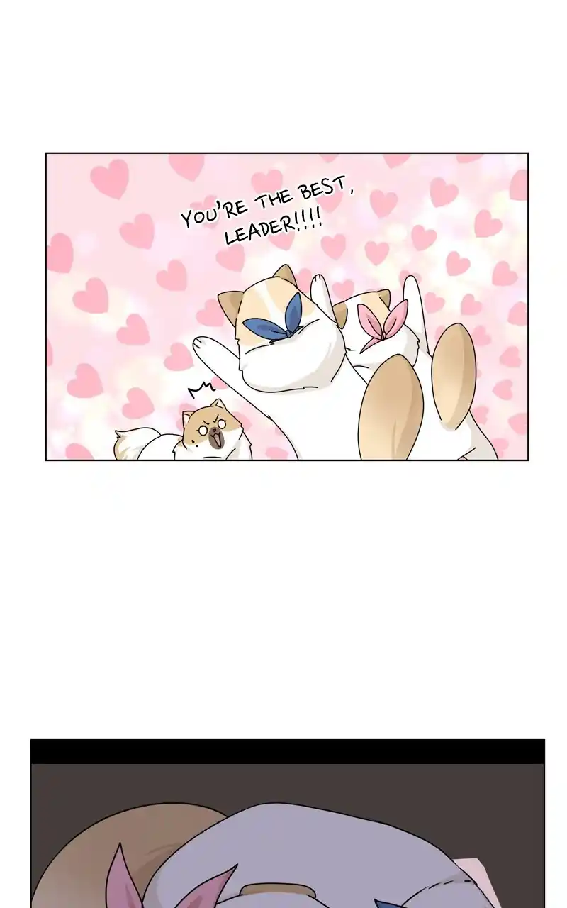 I Gave Birth to a Dog Chapter 144