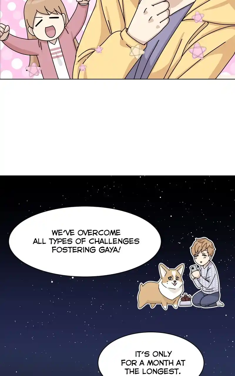 I Gave Birth to a Dog Chapter 144