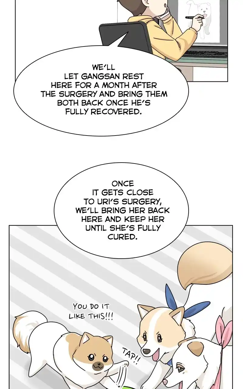 I Gave Birth to a Dog Chapter 144