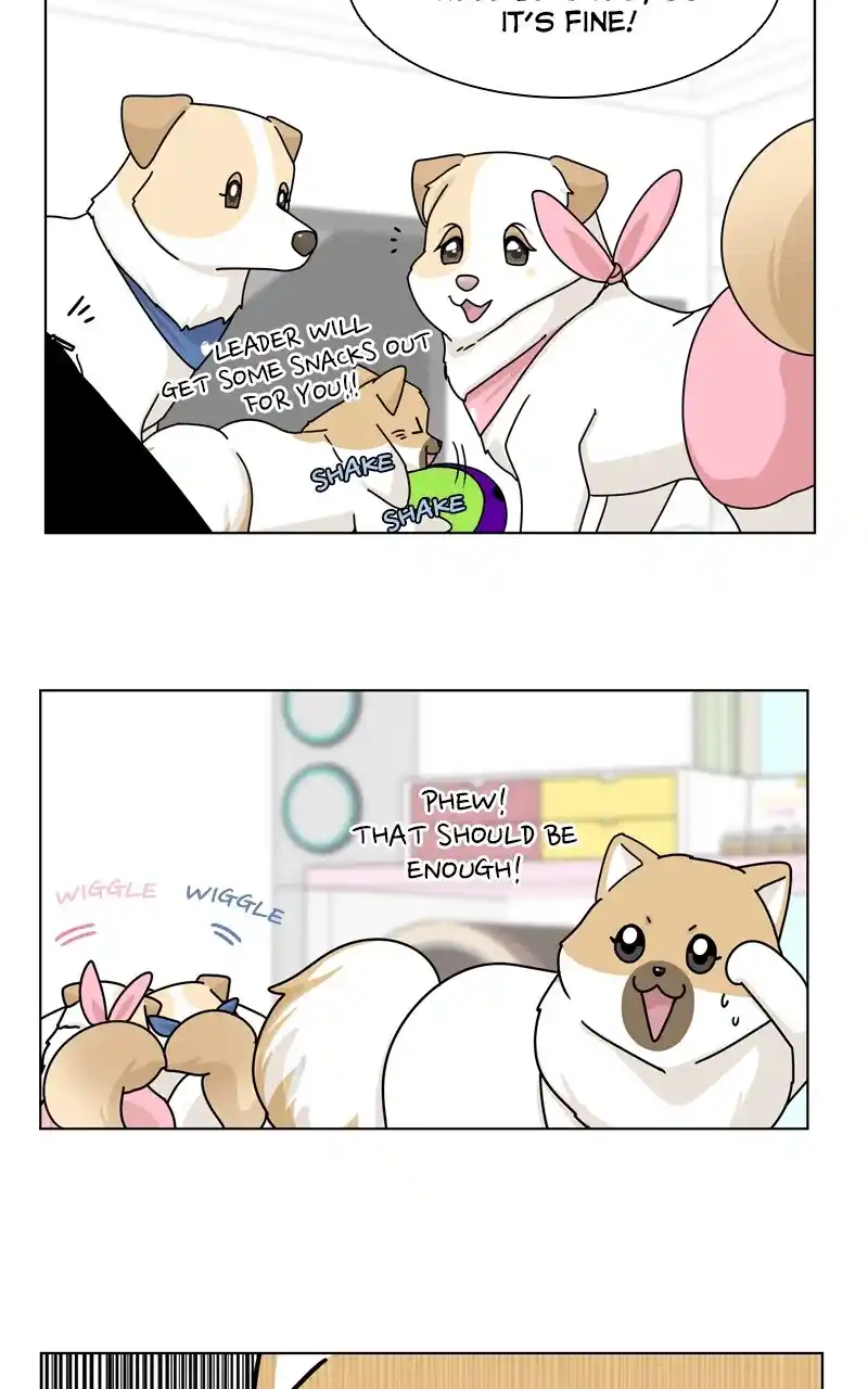 I Gave Birth to a Dog Chapter 144