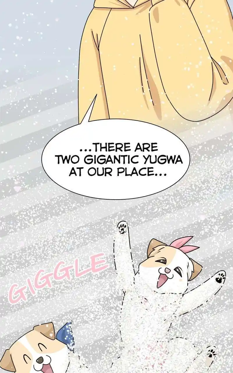 I Gave Birth to a Dog Chapter 144