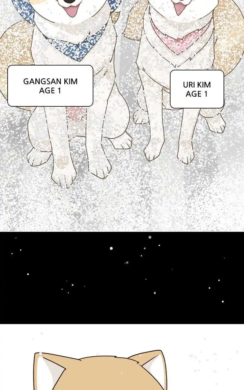 I Gave Birth to a Dog Chapter 144