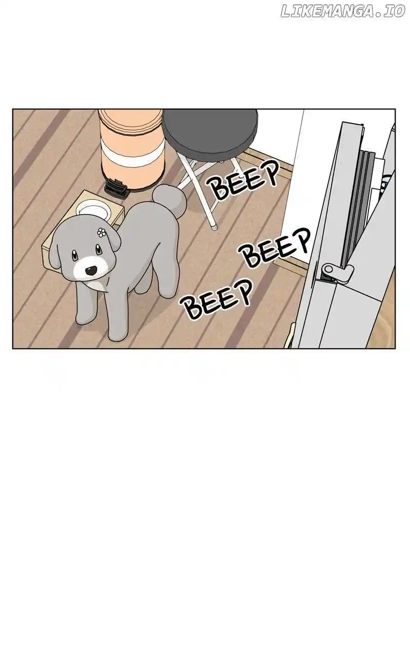 I Gave Birth to a Dog Chapter 146