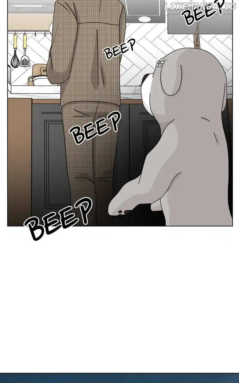 I Gave Birth to a Dog Chapter 146