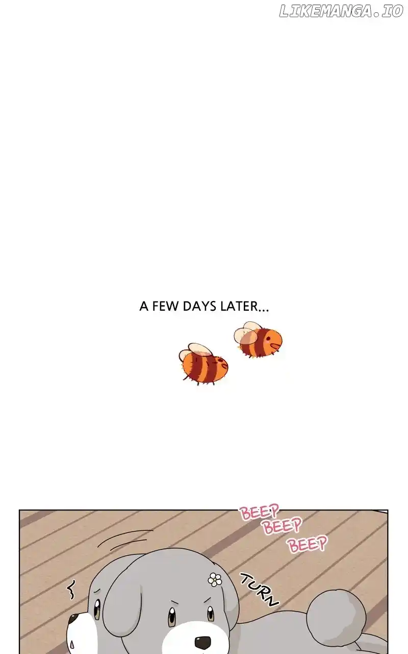 I Gave Birth to a Dog Chapter 146