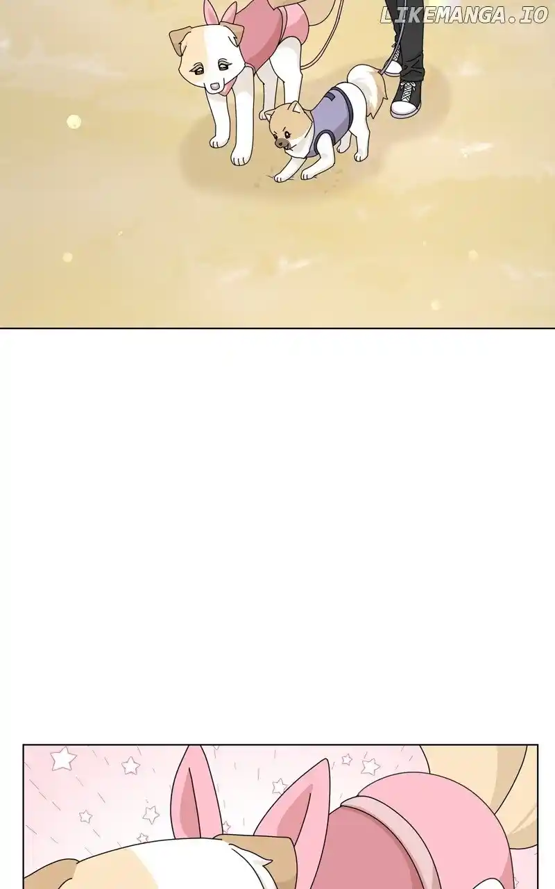 I Gave Birth to a Dog Chapter 147