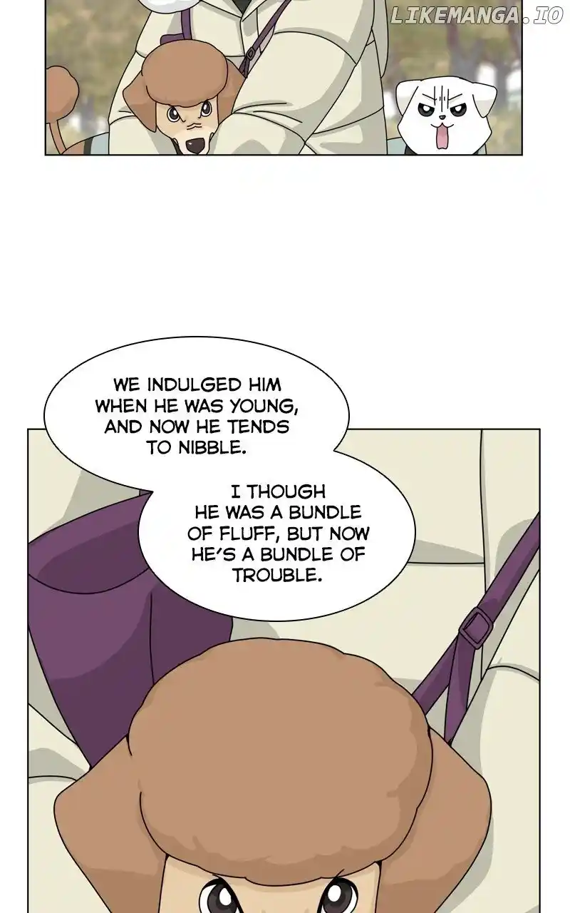 I Gave Birth to a Dog Chapter 147