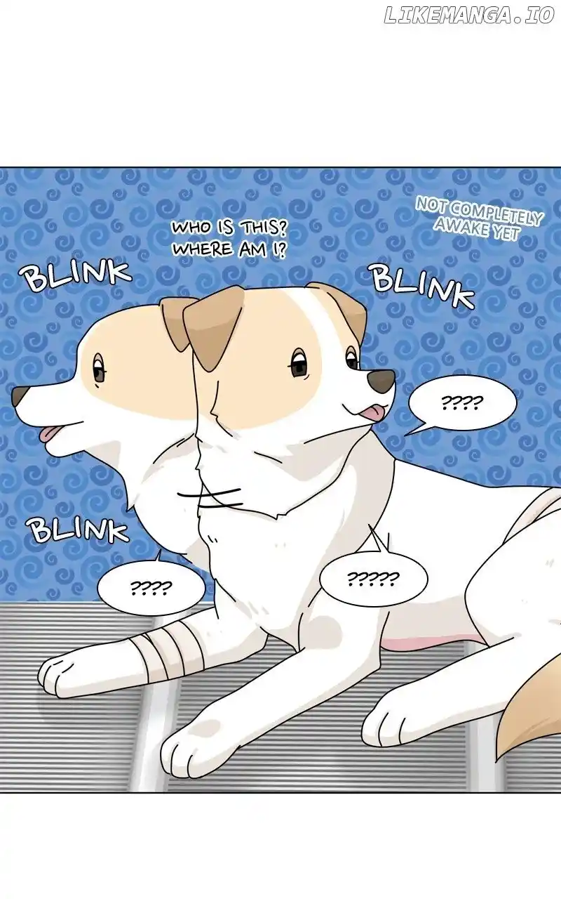I Gave Birth to a Dog Chapter 147