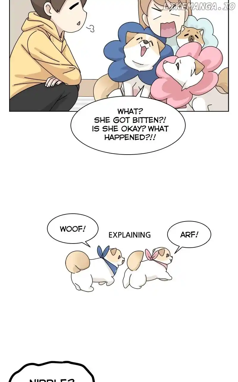I Gave Birth to a Dog Chapter 147