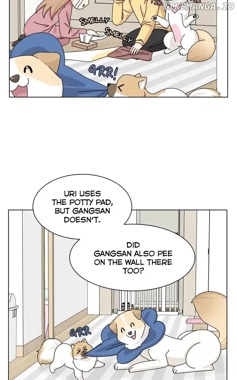 I Gave Birth to a Dog Chapter 148