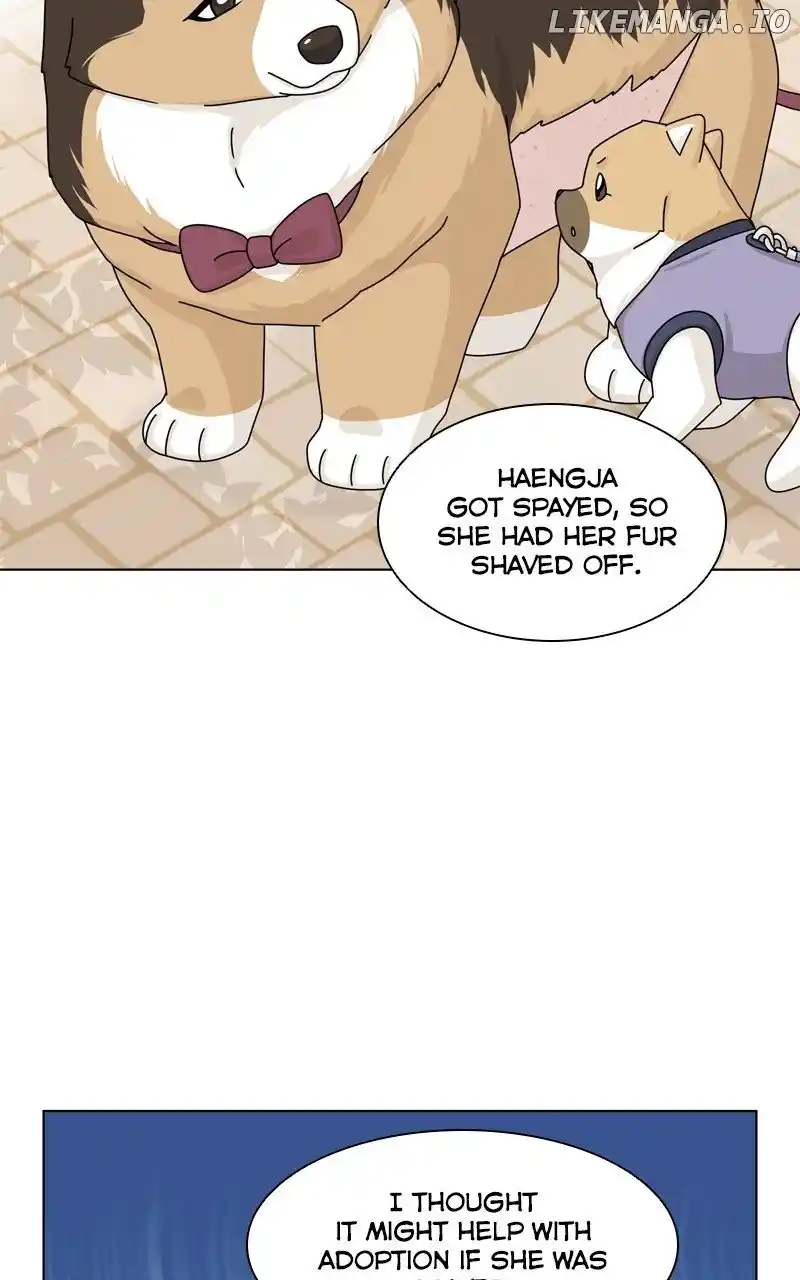 I Gave Birth to a Dog Chapter 148
