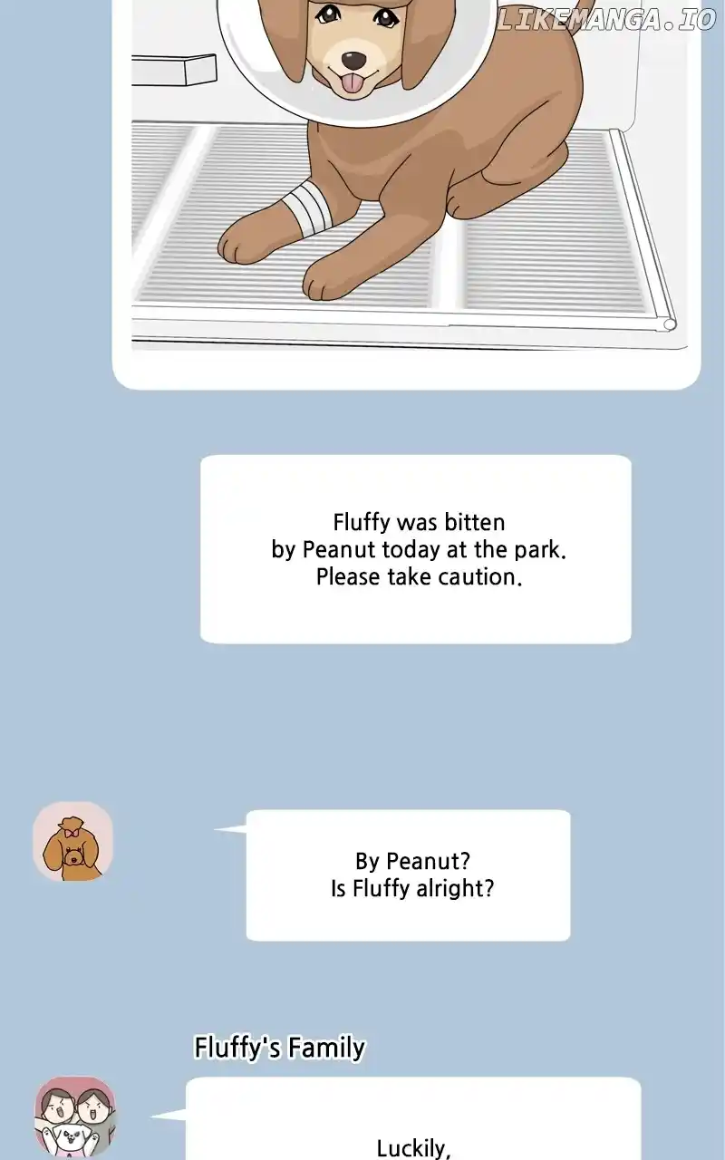 I Gave Birth to a Dog Chapter 149