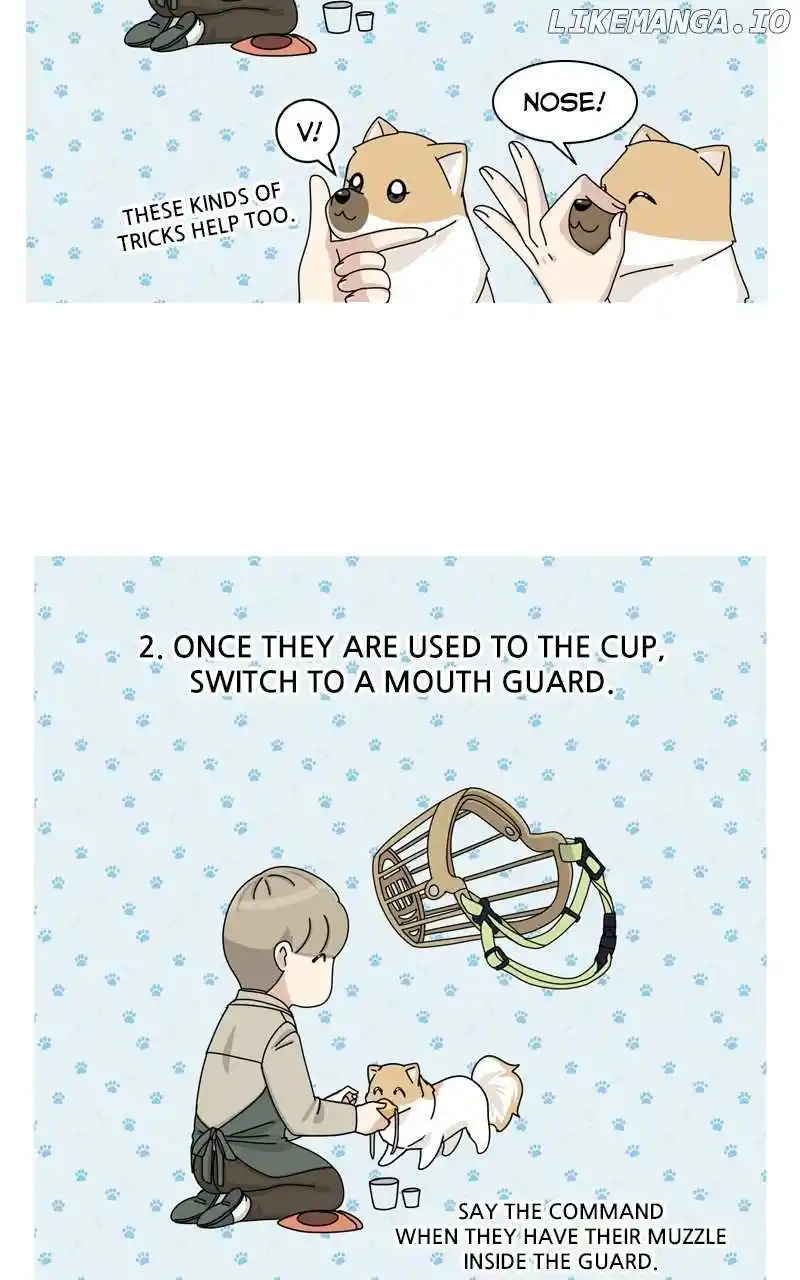 I Gave Birth to a Dog Chapter 151